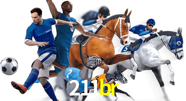 211br